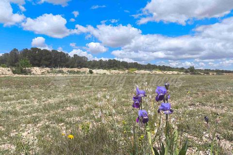 Landejendom i Yecla, Murcia, Yecla - € 225.000 | Ref: SF0527 - foto 26